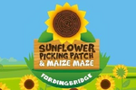 Fordingbridge Maize Maze & Sunflower Patch