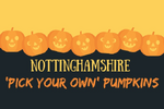 Nottinghamshire PYO Pumpkins Maize Maze