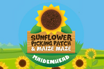 Maidenhead Maize Maze & Sunflower Patch
