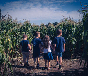 Children in the Maize Maze