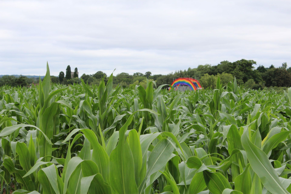 Churchfields Farm Maize Maze