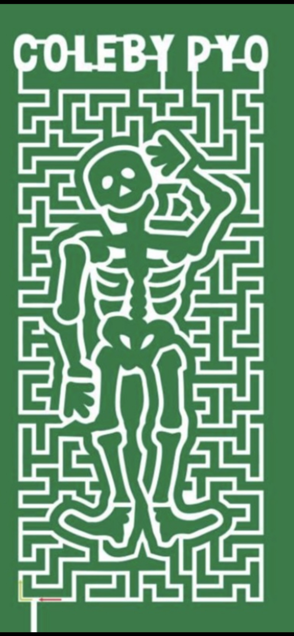 Coleby Maze Design 2026