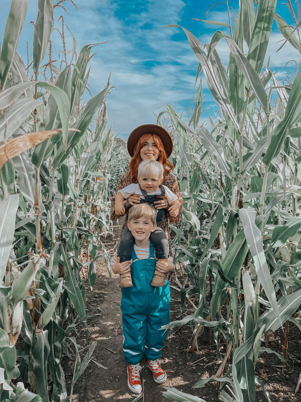 Maize Maze