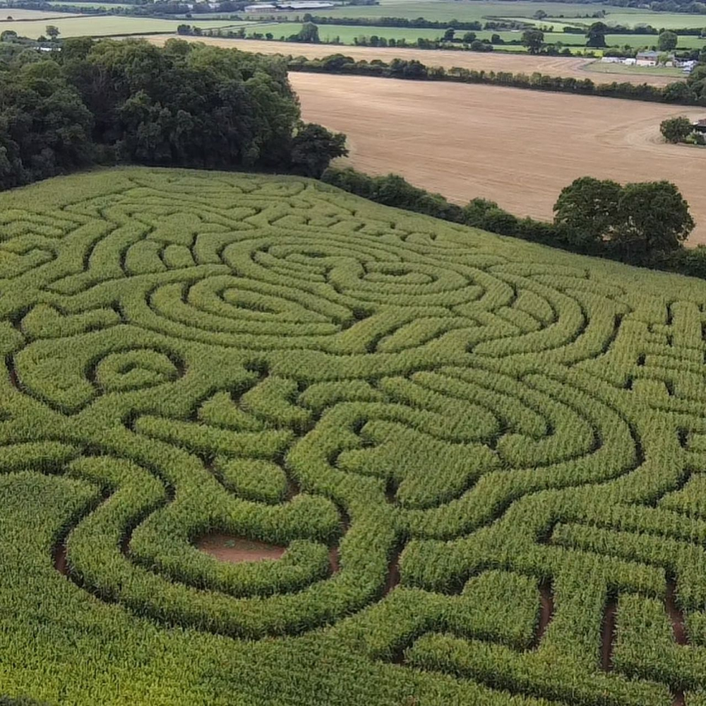 Jolly Maze