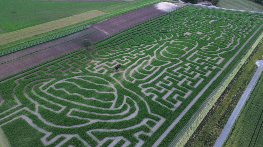 Lichfield Maize Maze Aerial photo 2025