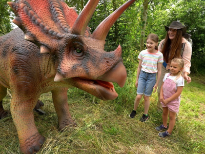 Lower Drayton Farm Dino