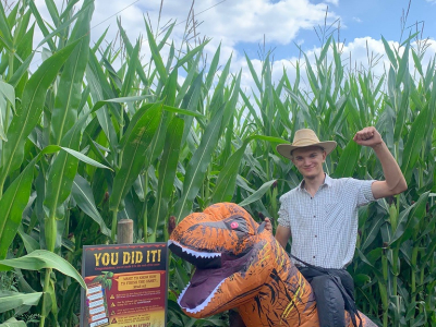 Lower Drayton Farm Maize Maze Dino