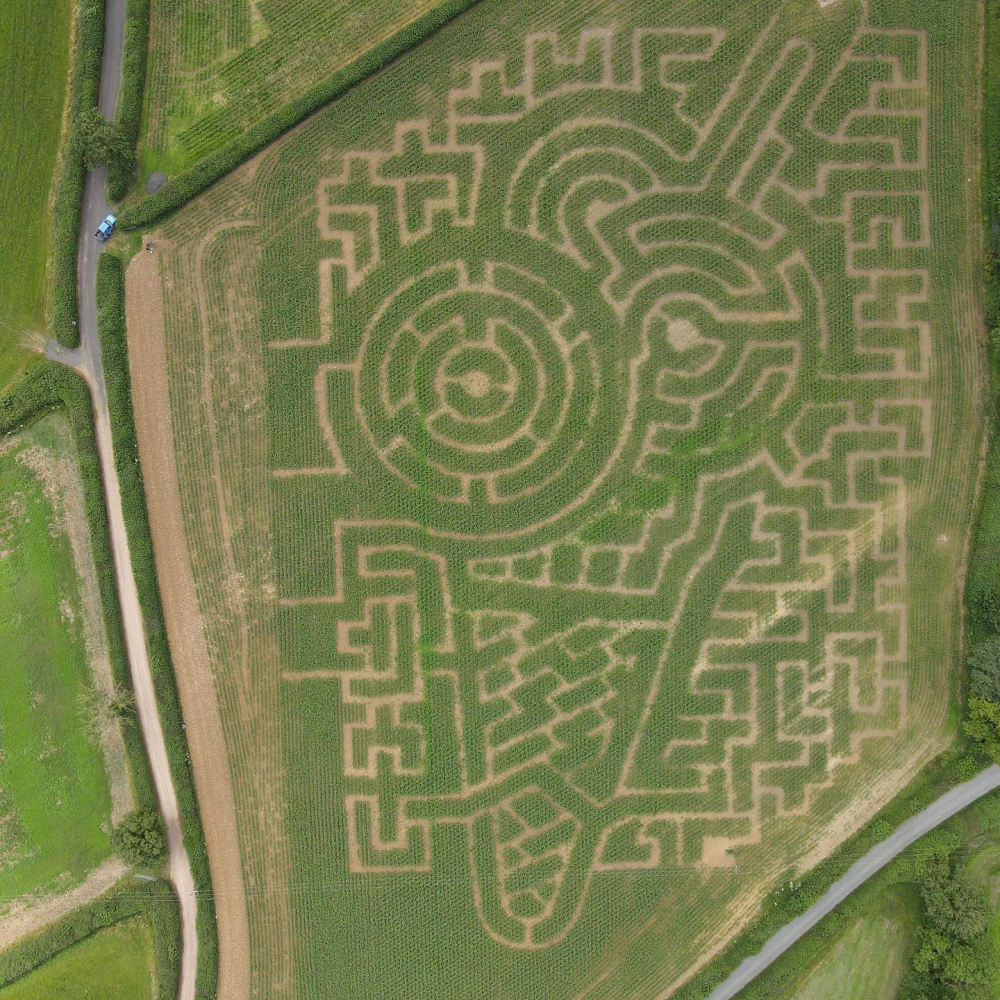 Maize Maze Frome