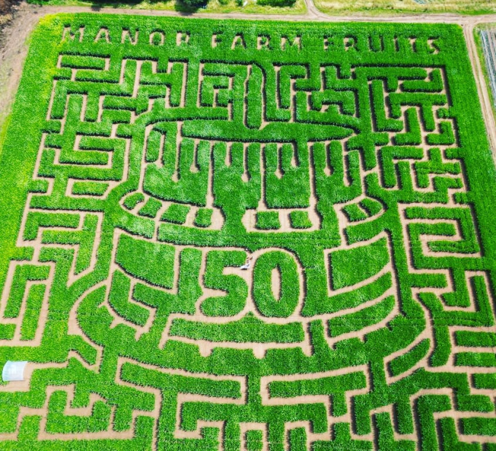 Manor Farm Fruits Maize Maze