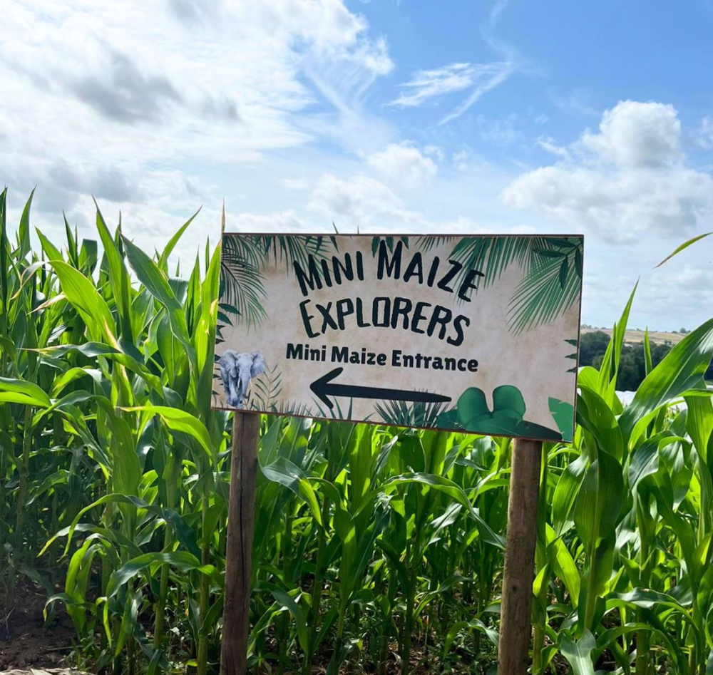 Manor Farm Fruits Maize Entrance Sign