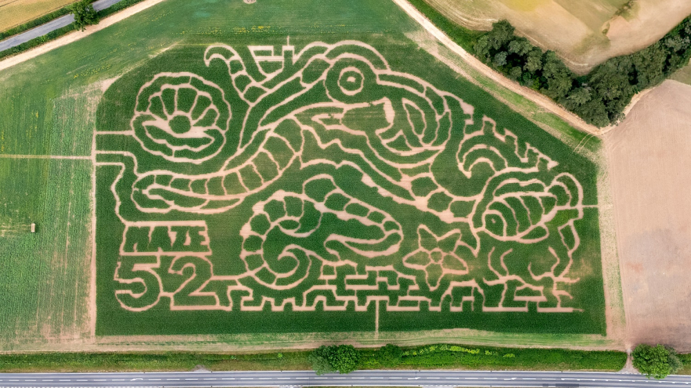 Maize Maze Locations | Maze 52 Maize Maze in Ednaston