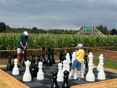 Millets Maize Maze Giant Chess board