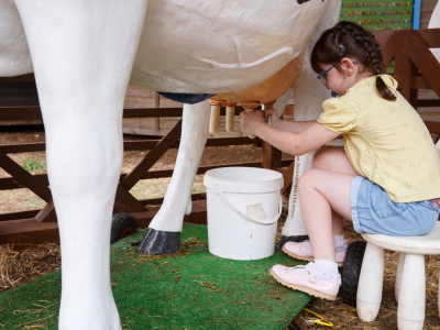 Millets Milking exhibit