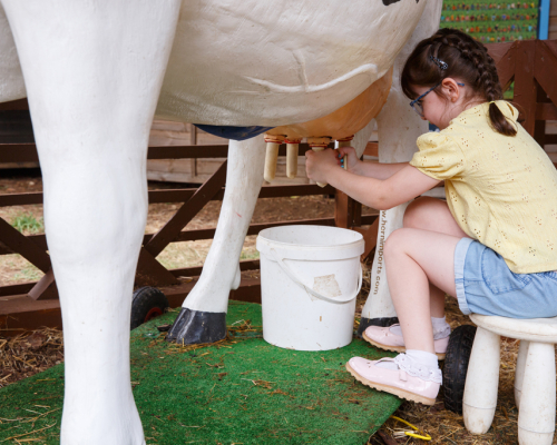 Millets Milking exhibit