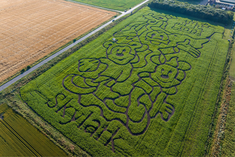 Skylark Maize Maze and Funyard