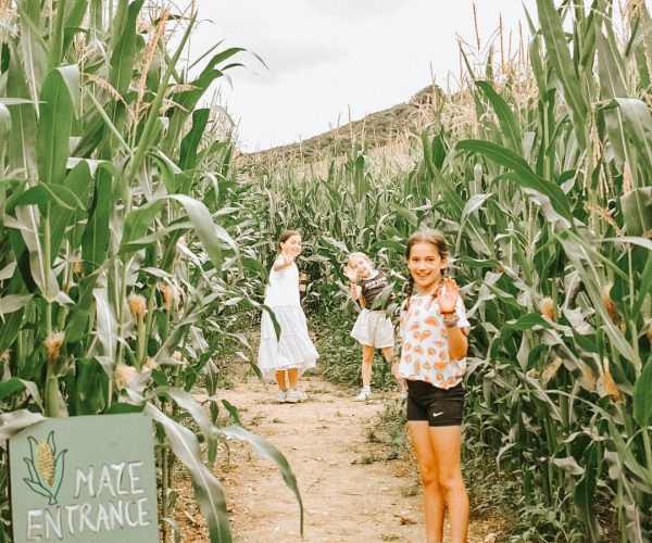 Family in the Maize Maze South Farm Rodmell