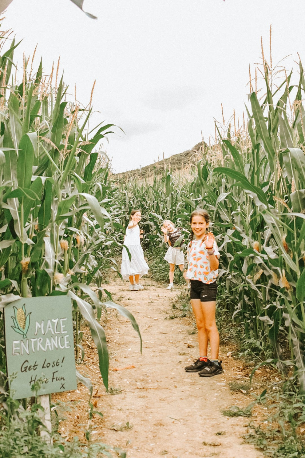 Family in the Maize Maze South Farm Rodmell