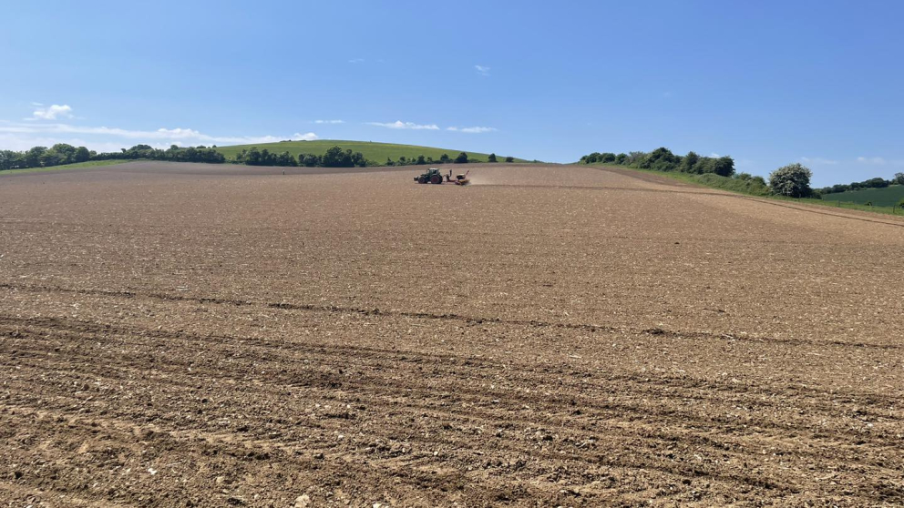 Maize being sown at South Farm