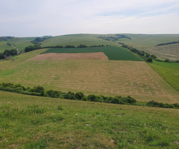 Aerial photo South Farm Rodmell Maize Maze