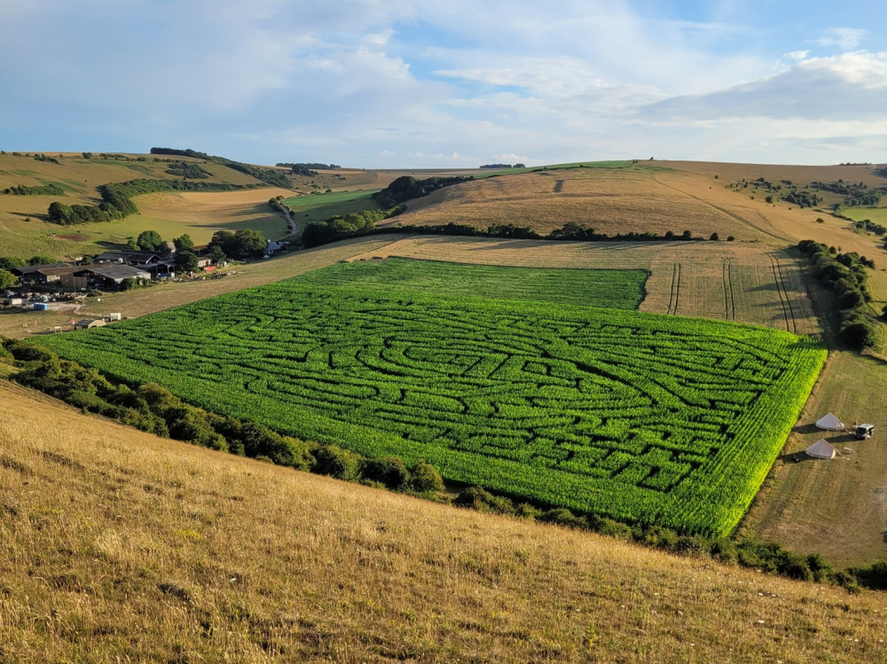 View of the Maize Maze from the hill