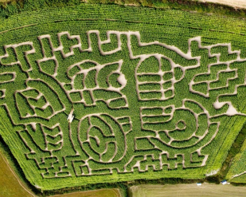 St Merryn Maize Maze 2026
