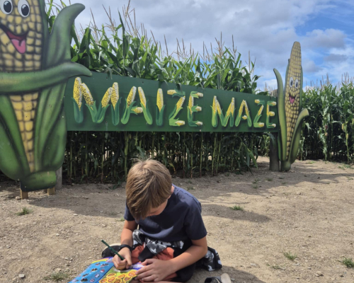 St Merryn Maize Maze sign