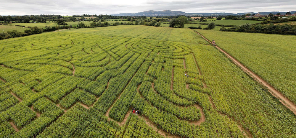 The Great Worcester Maize Maze at Broadfields