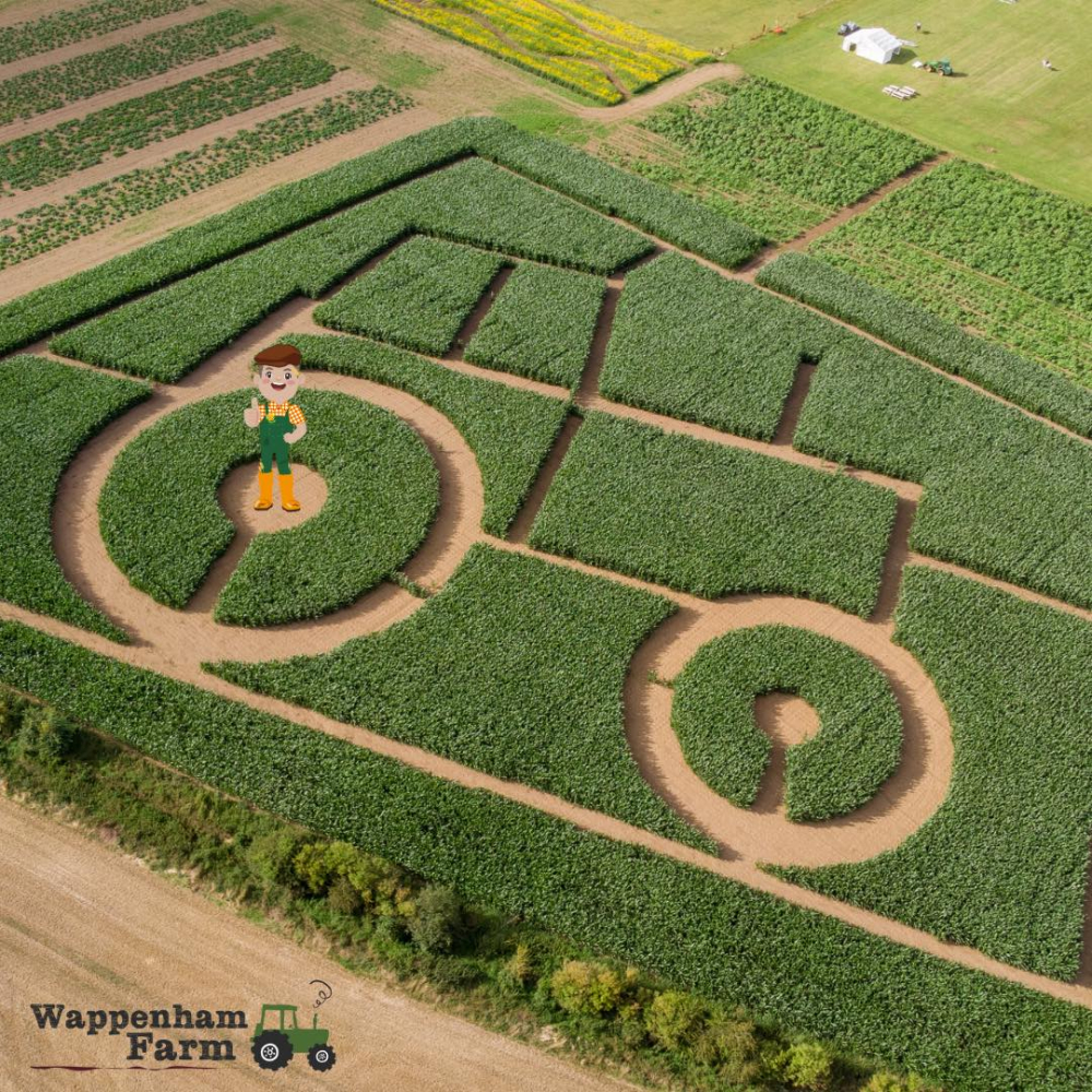 Wappenham Farm Maize Maze
