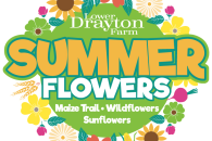 PLDF Summer Flowers logo