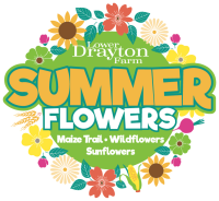 PLDF Summer Flowers logo